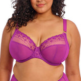 Elomi Matilda Plunge Bra Hollyhock