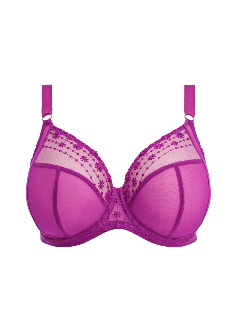 Elomi Matilda Plunge Bra Hollyhock